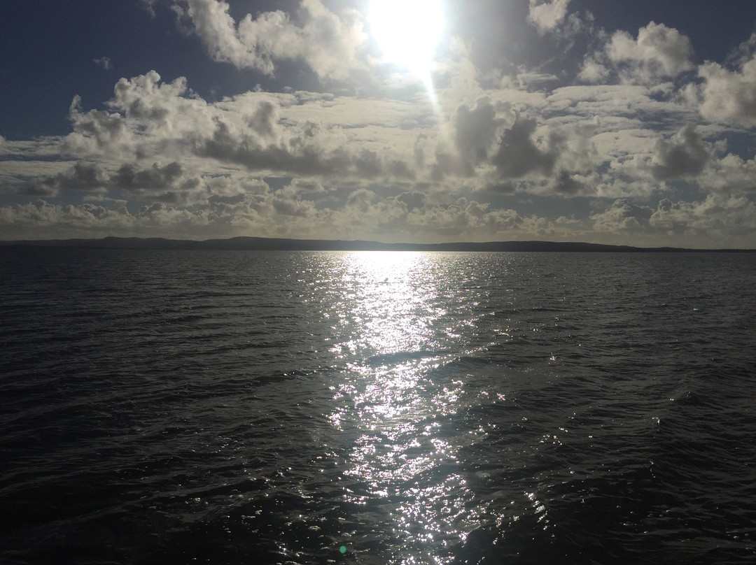 Beechs’ Brook Rain Forest Retreat主图