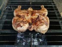 Casa Las Estrellas主图