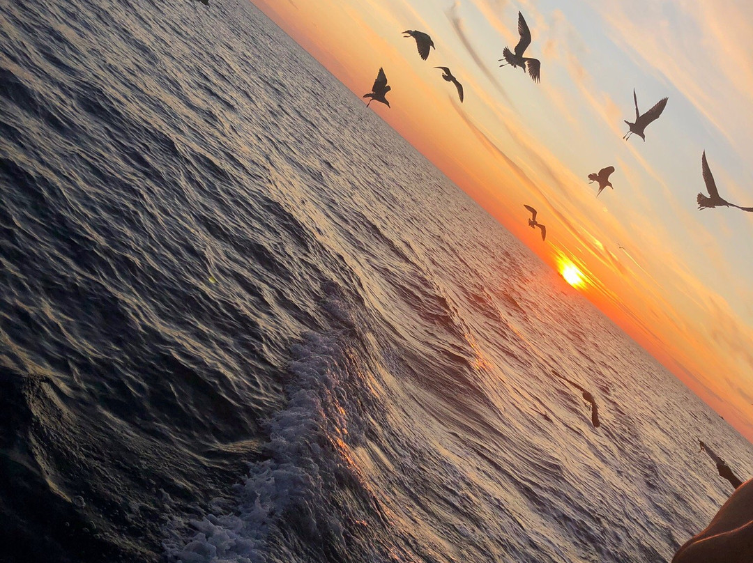 Excursion Antonio-普拉必去景点