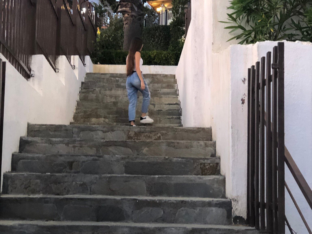 Kodra e Kuajve主图