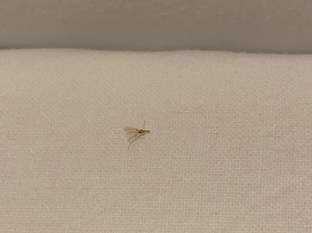 Hotel Christine主图