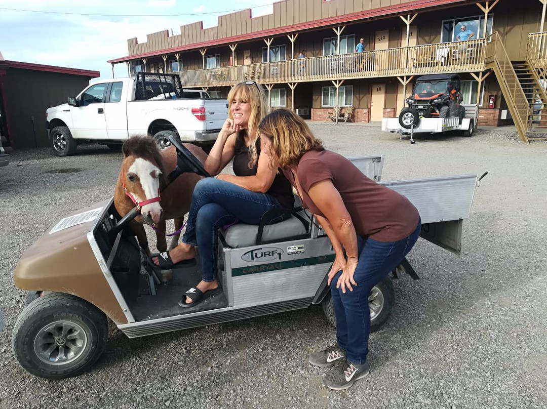 Big Bear Motel主图