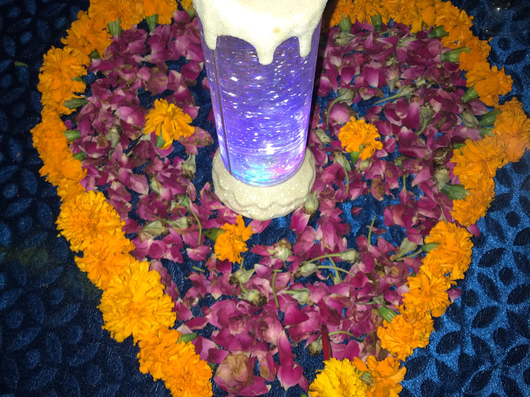 Treehouse Raj Mahal主图