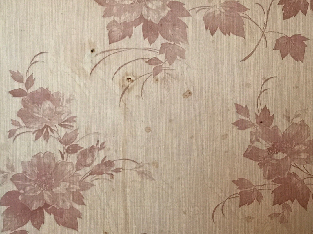 Zvezda Zhiguley Hotel主图