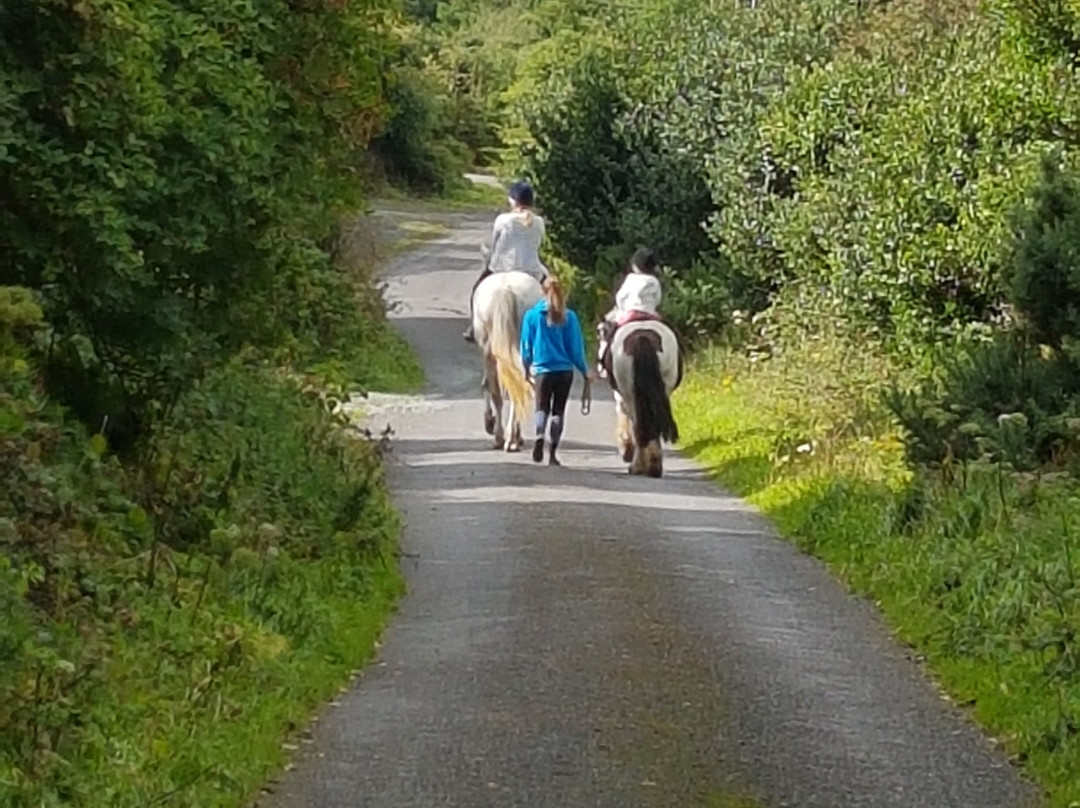 West Kerry Trekking-Camp必去景点