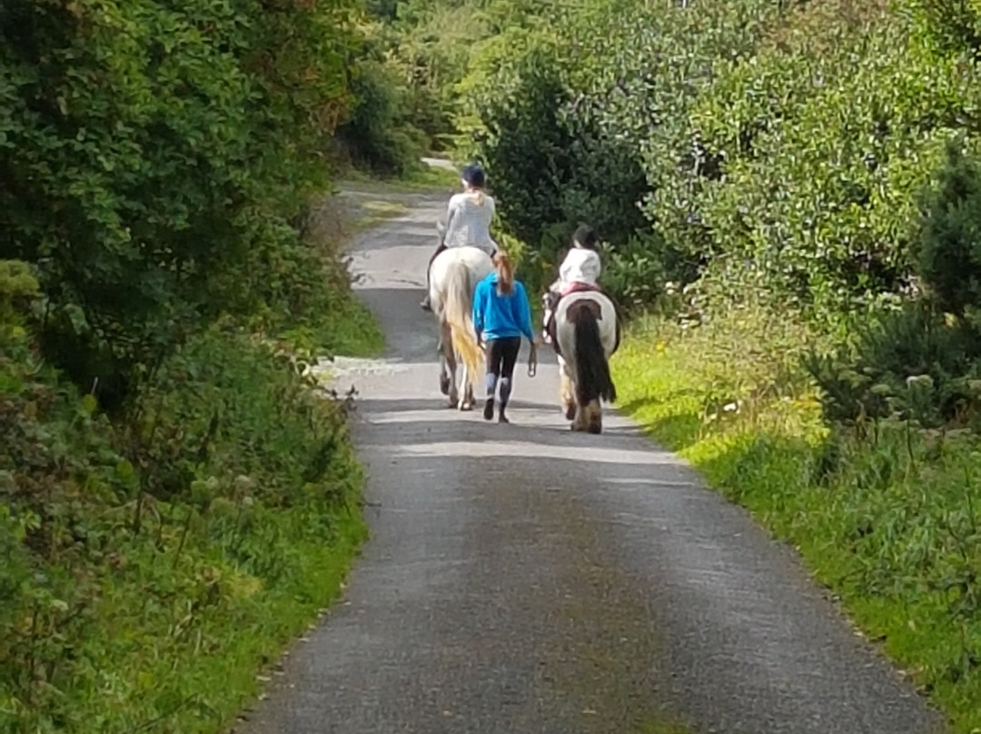 West Kerry Trekking景点图片