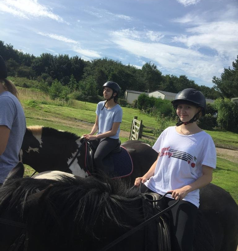 Haggerston Riding Centre景点图片