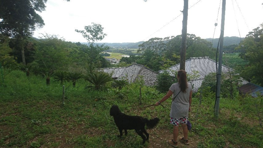 Ishidoji Temple-南房总市必去景点