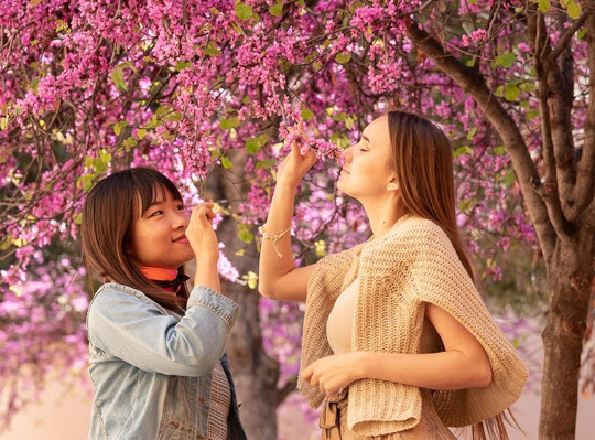 Myriam Gardom Photography-阿尔库迪亚港必去景点