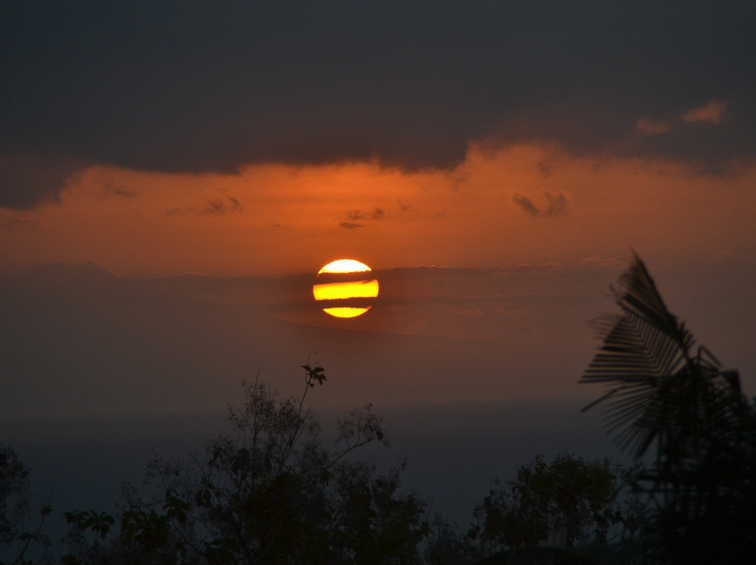 Alamanda Lovina Resort | Yoga Retreat Bali主图