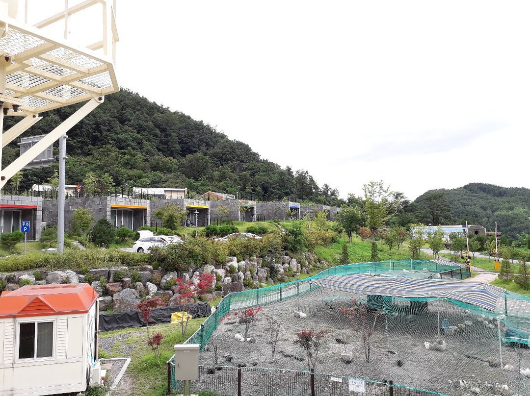 High1 Choo Choo Park-三陟市必去景点