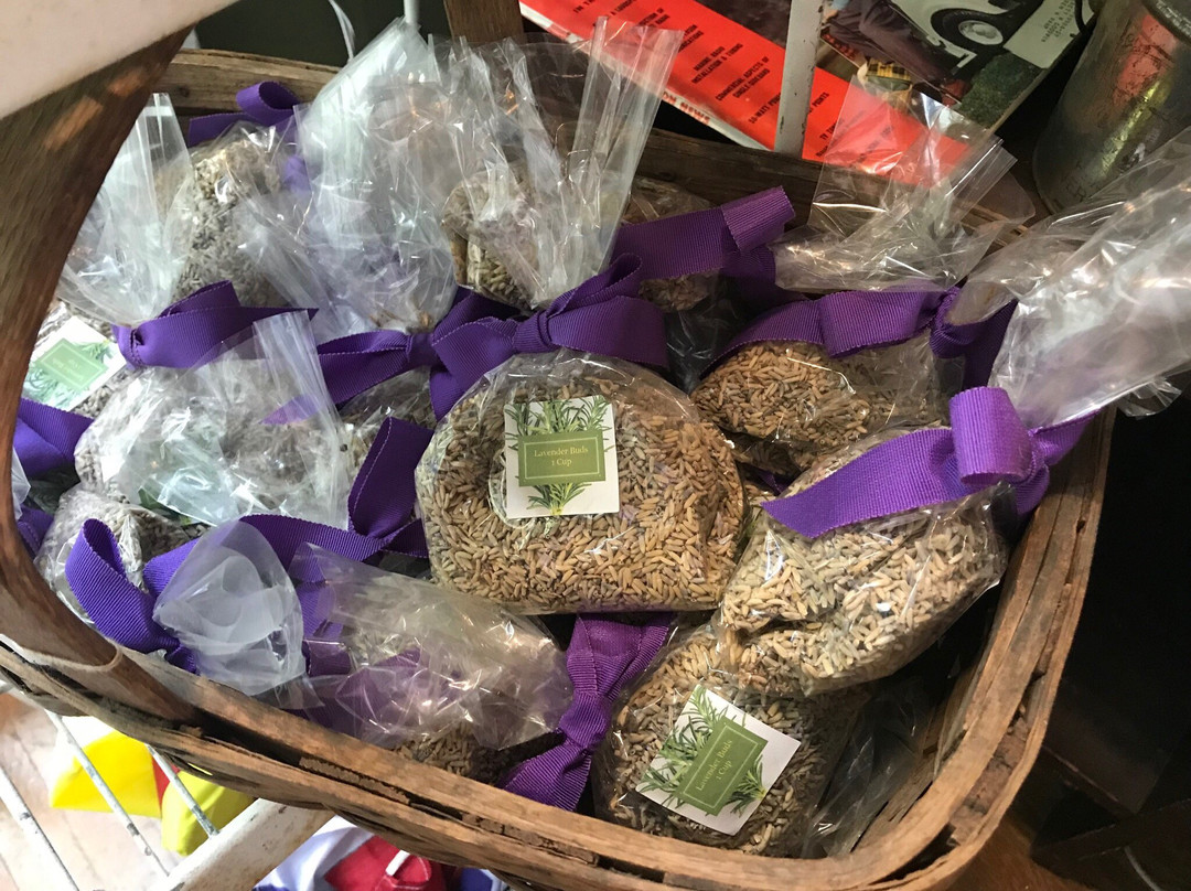 KDM antiques-Coventry必去景点