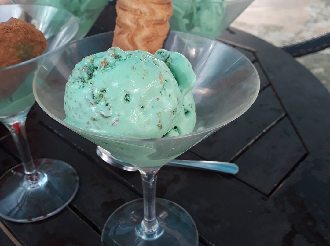 AAK-BAL Campeche主图