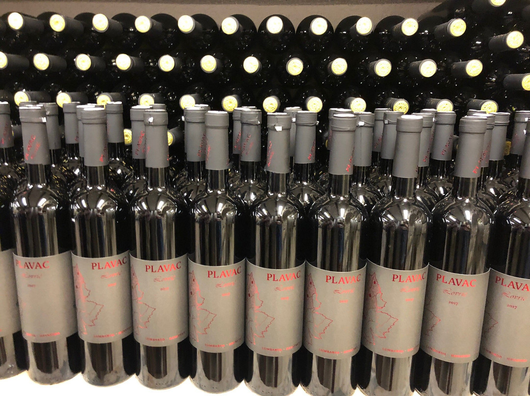 Lovrić Winery景点图片