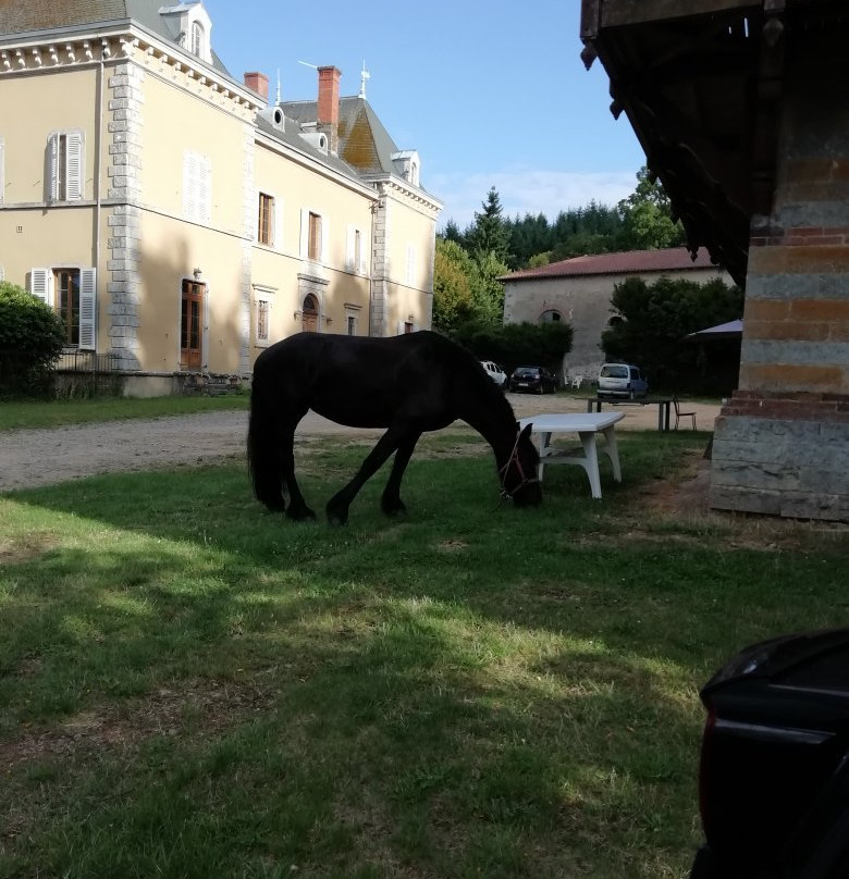 Chateau de Gros Bois主图