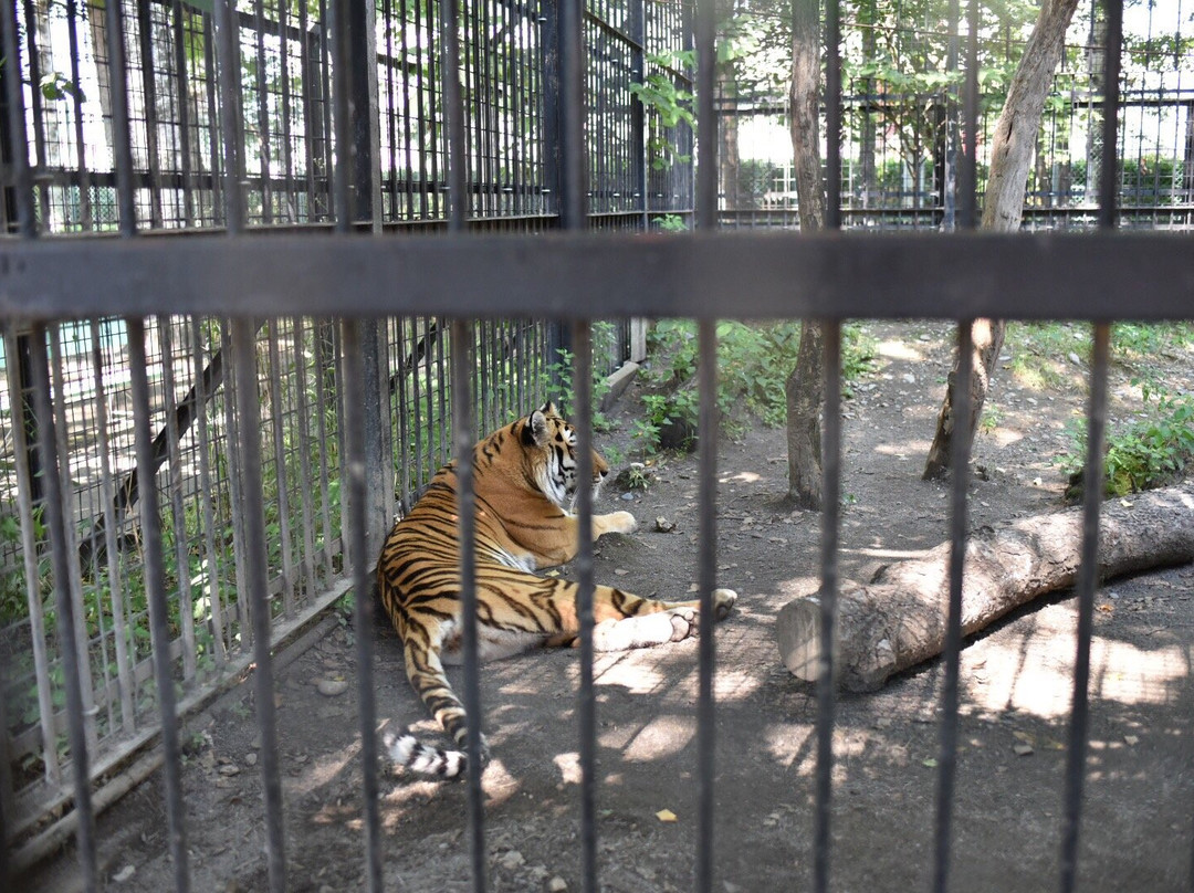 Obihiro Zoo景点图片