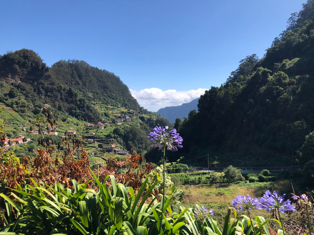 Up Mountain Madeira景点图片
