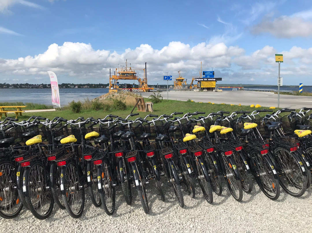 Bike Rental Faro-Faro必去景点