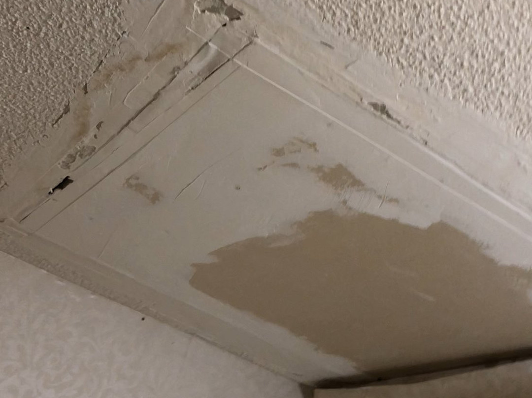 Baldwin Inn & Suites, SureStay Collection by Best Western主图