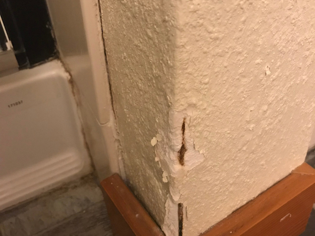 Sonoma Coast Villa主图