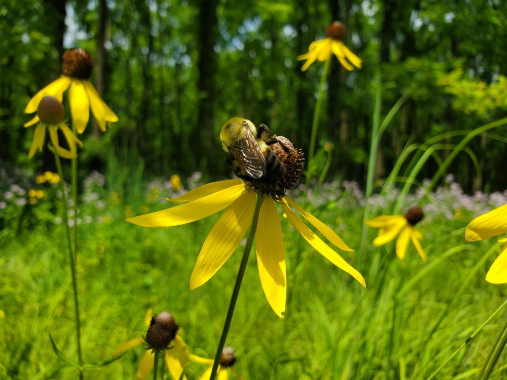 Fort Harrison State Park-印第安纳波利斯必去景点