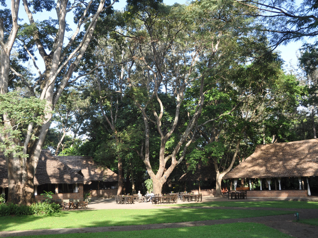 河边树乡村酒店主图