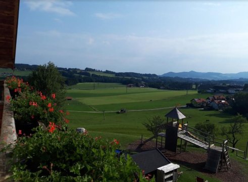 Gasthof Am Riedl-家庭/游戏区