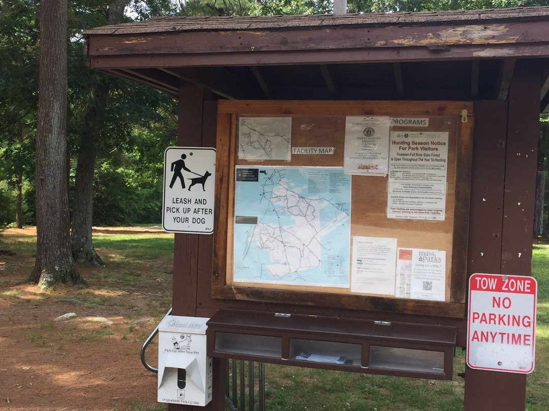 Freetown-Fall River State Forest景点图片