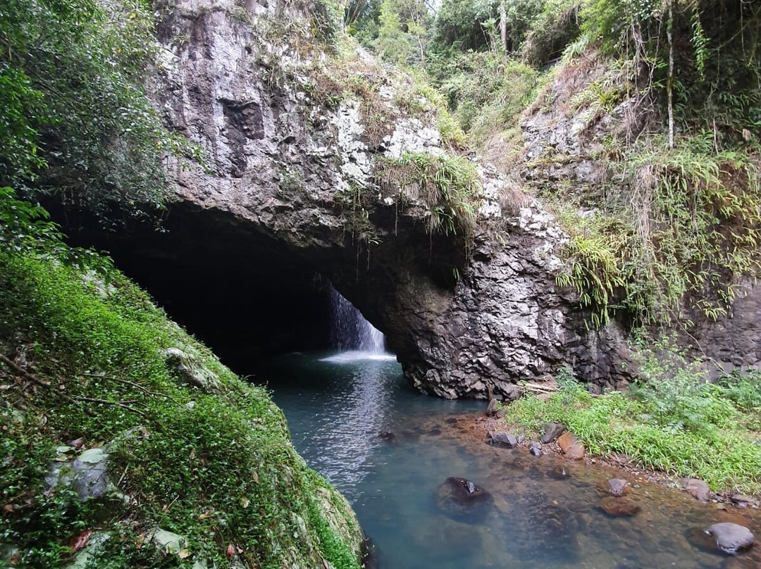 Gold Coast Rainforest Tours & Hikes-冲浪者天堂必去景点