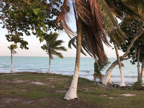 帕尔马斯酒店主图