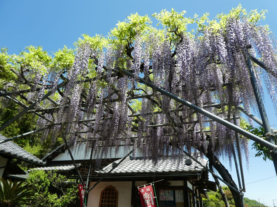 Zendoji Temple-寄居町必去景点