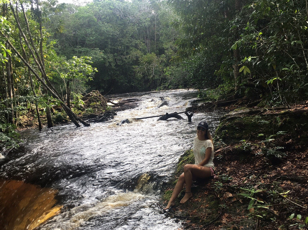 Cachoeira das Araras景点图片