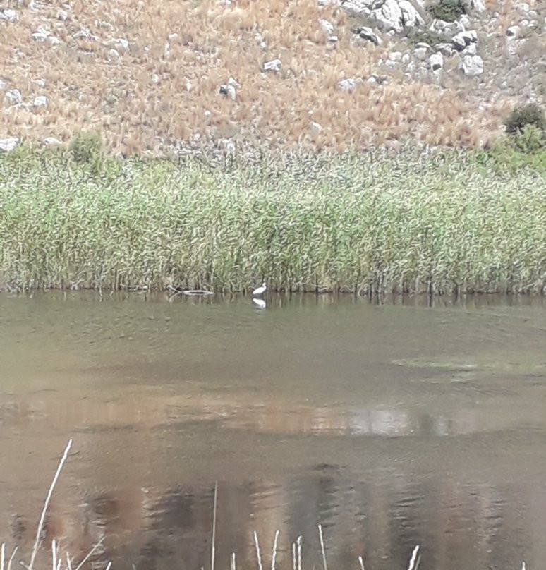 National Park of Kotychi and Strofylia Wetlands-Kalogria必去景点