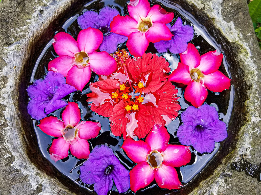 德萨森尼乡村度假村主图