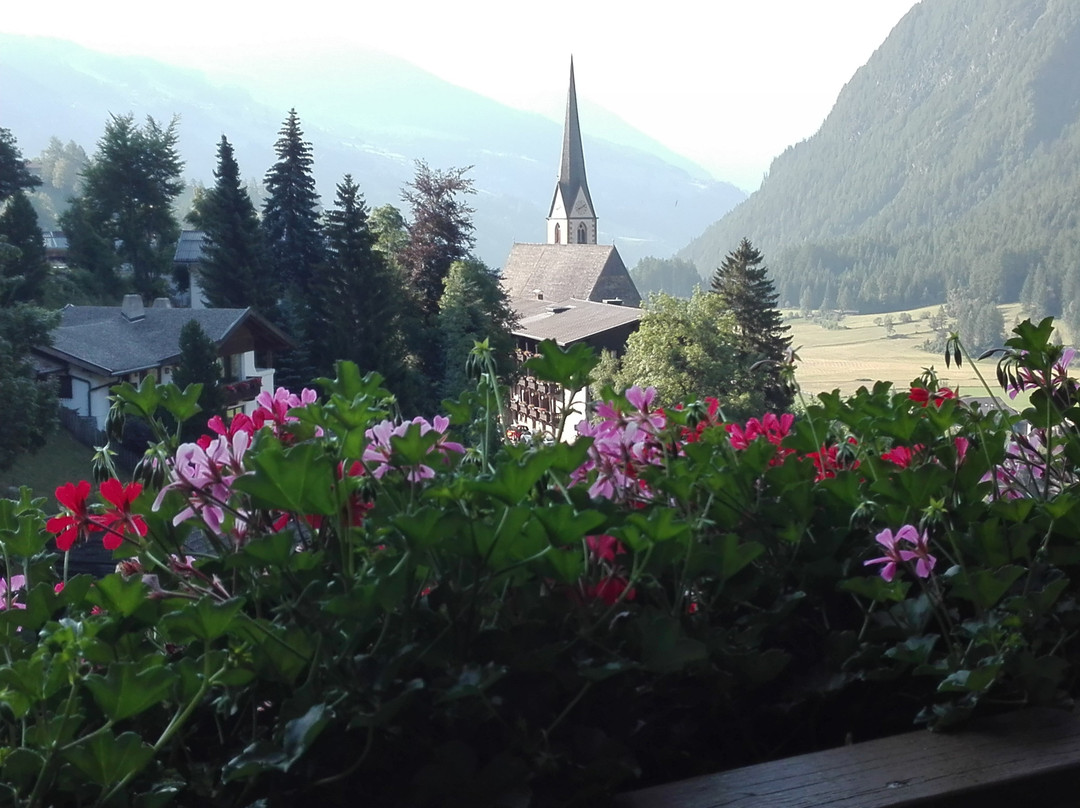 Panorama Hotel Laerchenhof主图