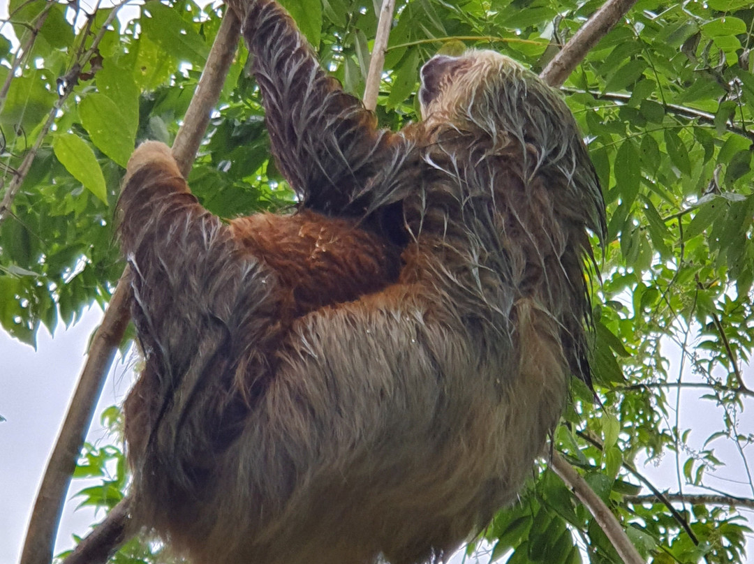 Samara Eco-Adventures-萨玛拉滩必去景点