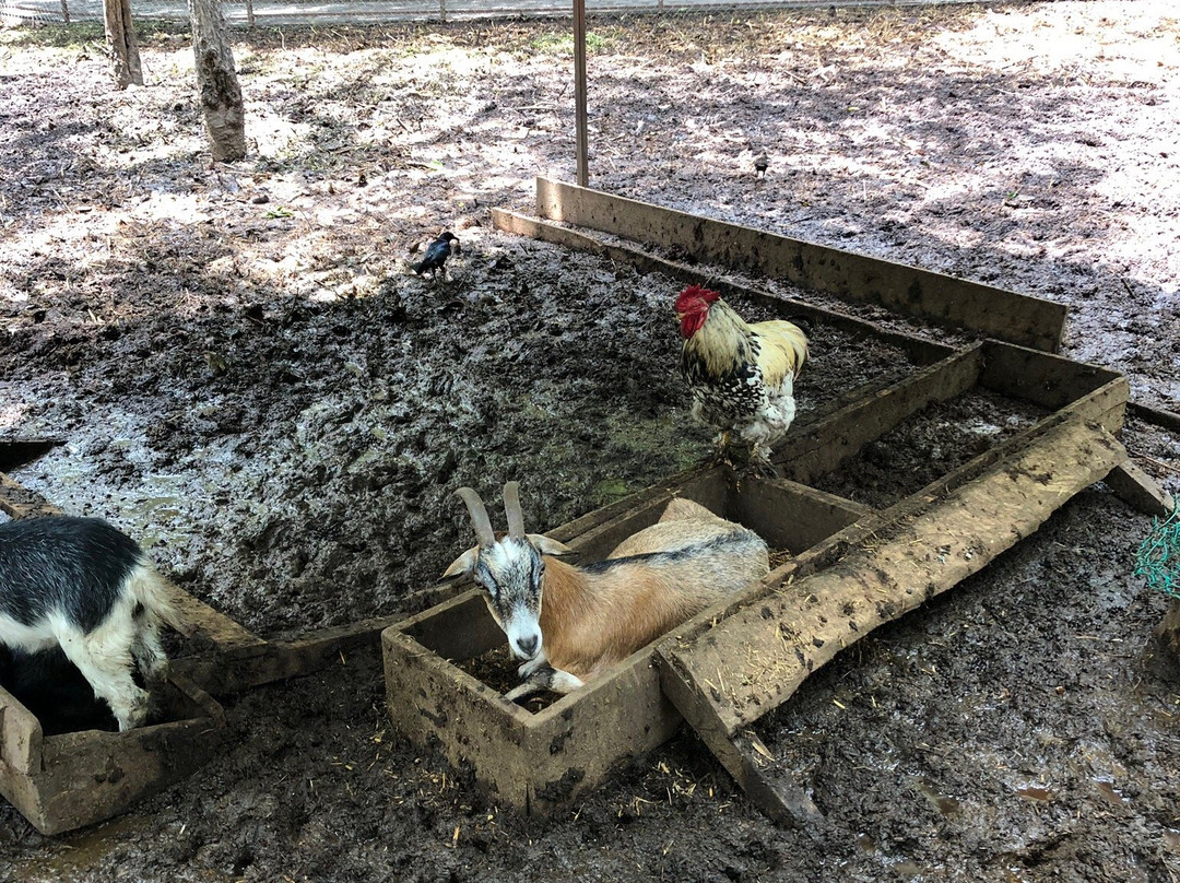 Ecoparc Colima-Colima必去景点