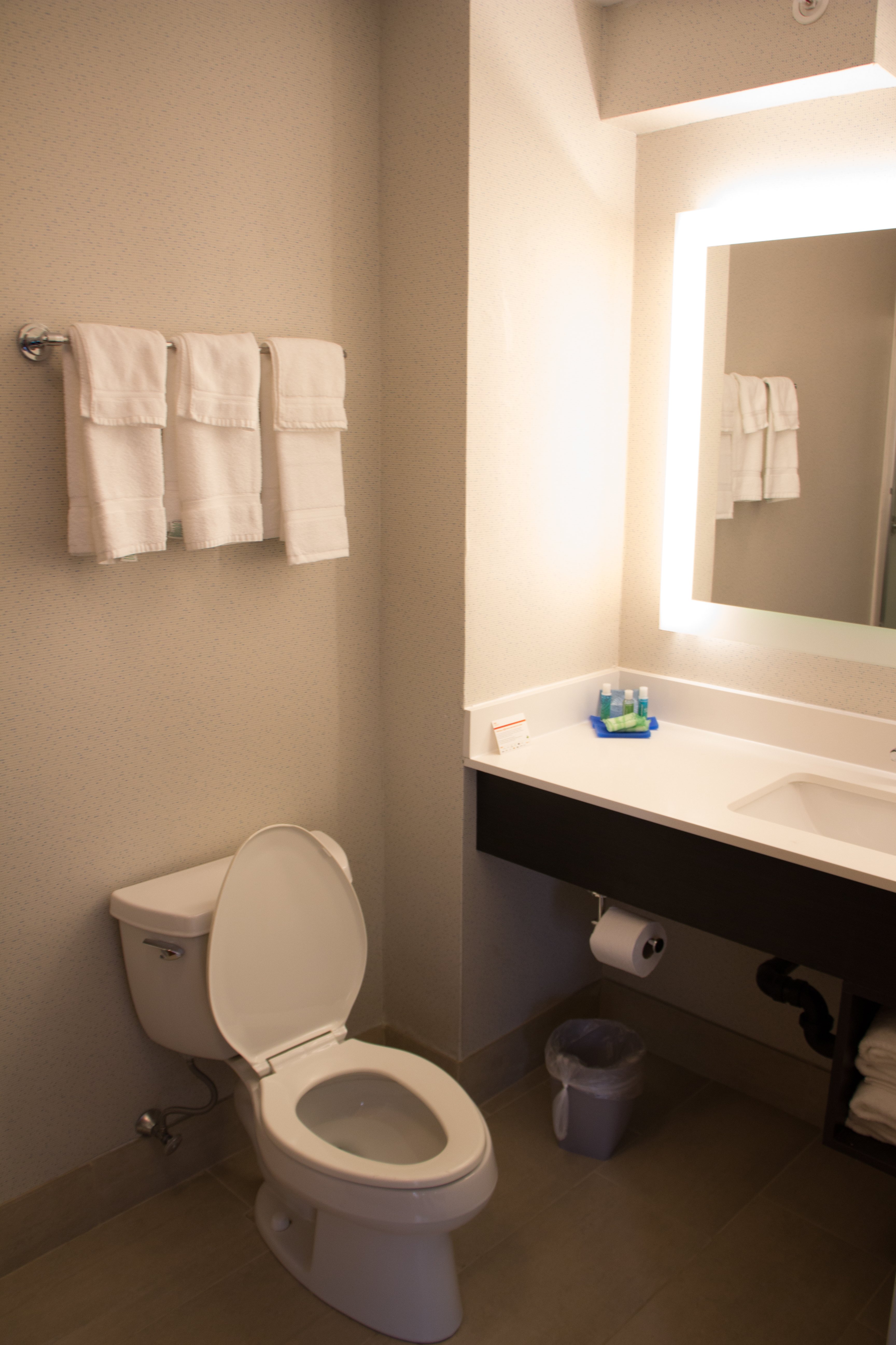 Holiday Inn Express & Suites Great Barrington - Lenox Area By IHG-浴室