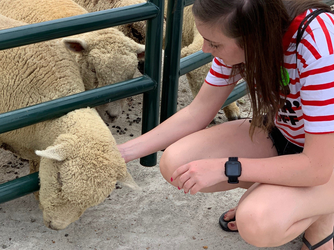 Green Meadows Petting Farm-Waterford必去景点