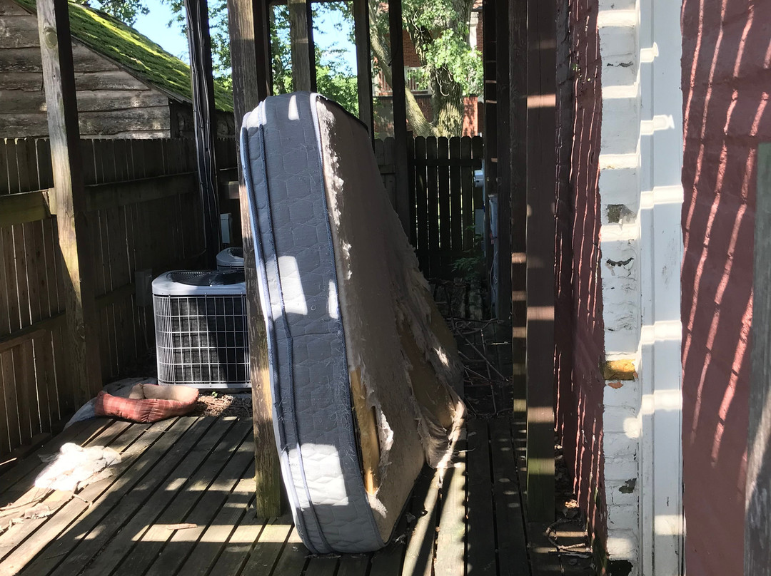 Nauvoo Temple House主图