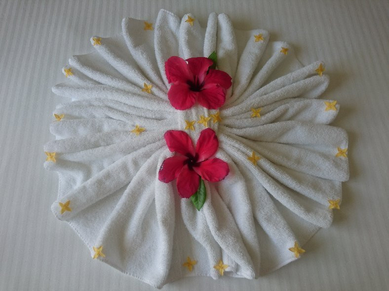 Hotel Villa Creole主图