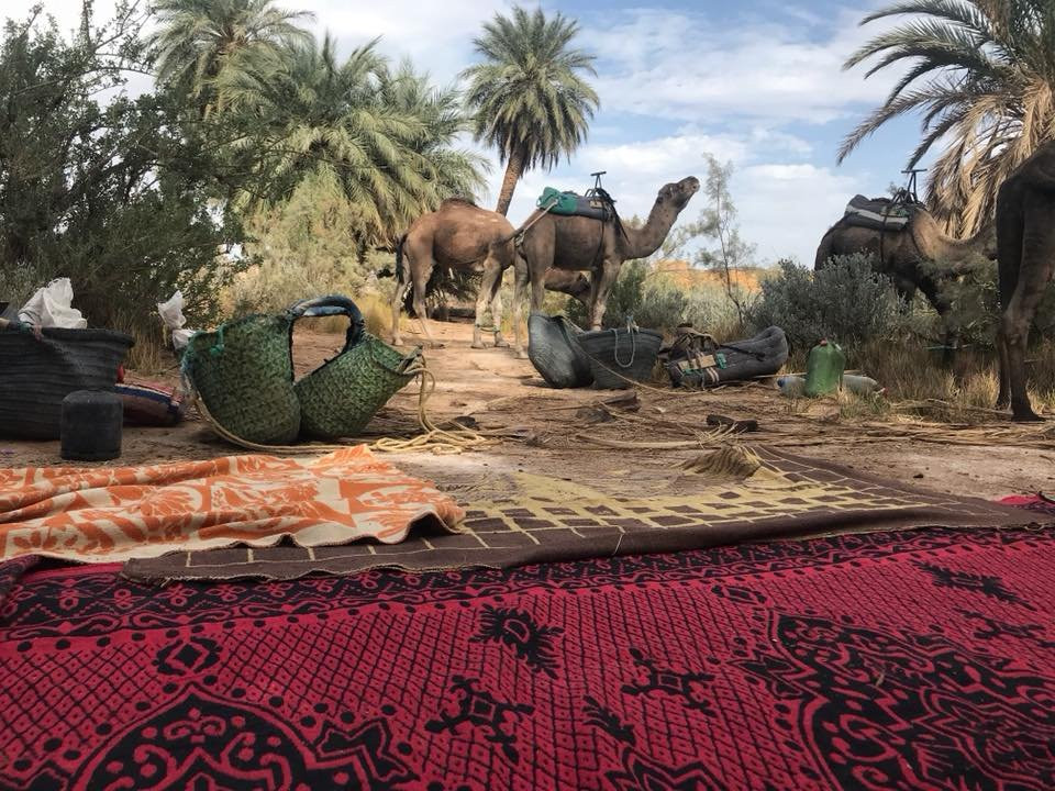 Foum Zguid to Chegaga Tours-Foum Zguid必去景点