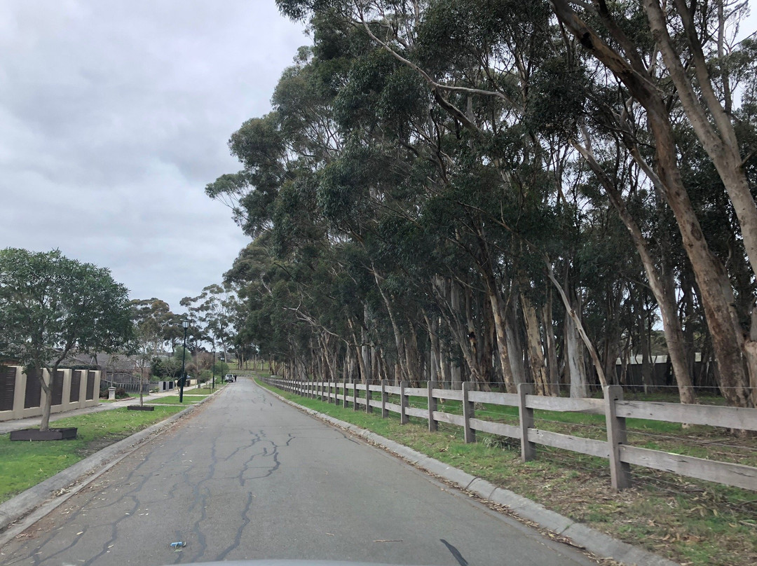 Heritage Boulevard Playground景点图片