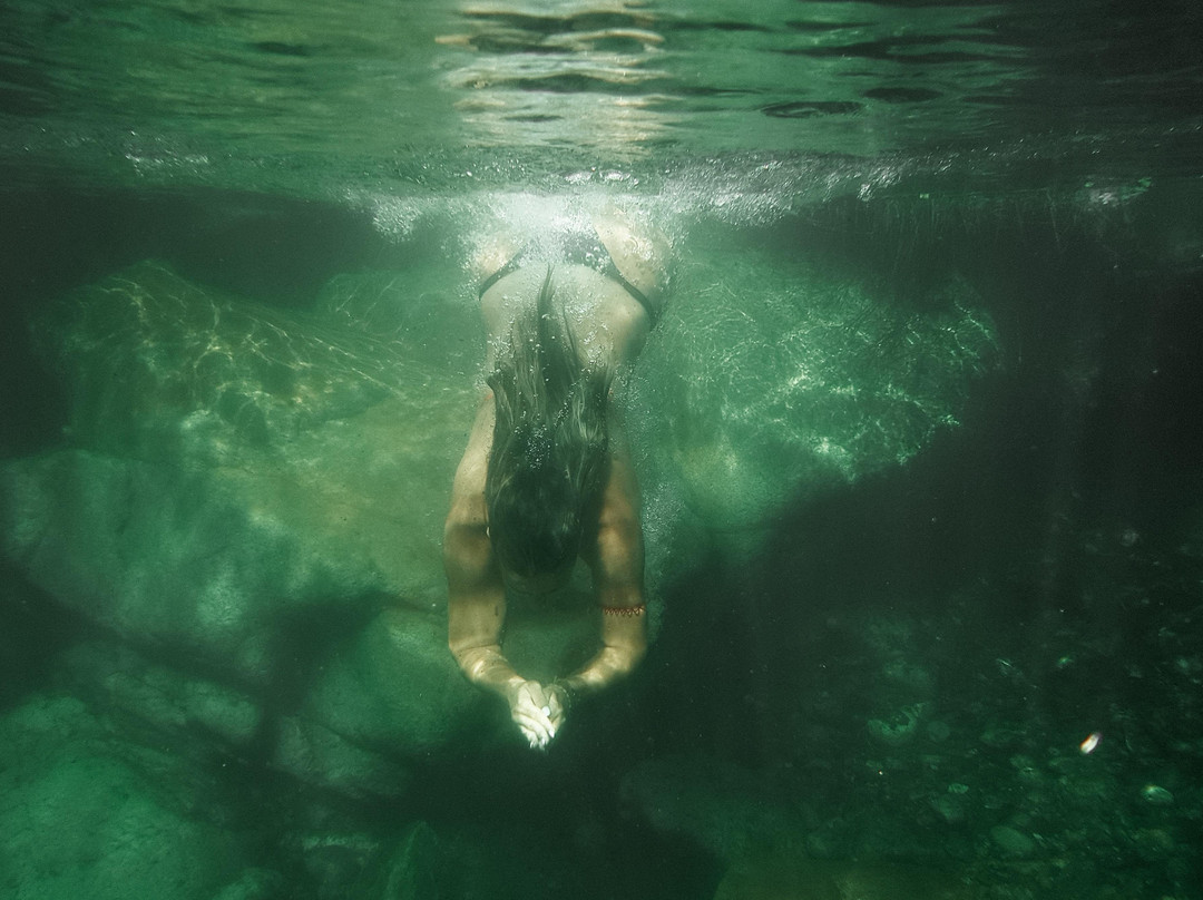 Do Tour Aveiro-阿威罗必去景点