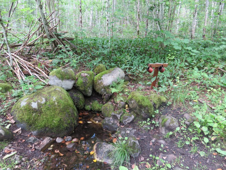 Garphyttans Nationalpark景点图片