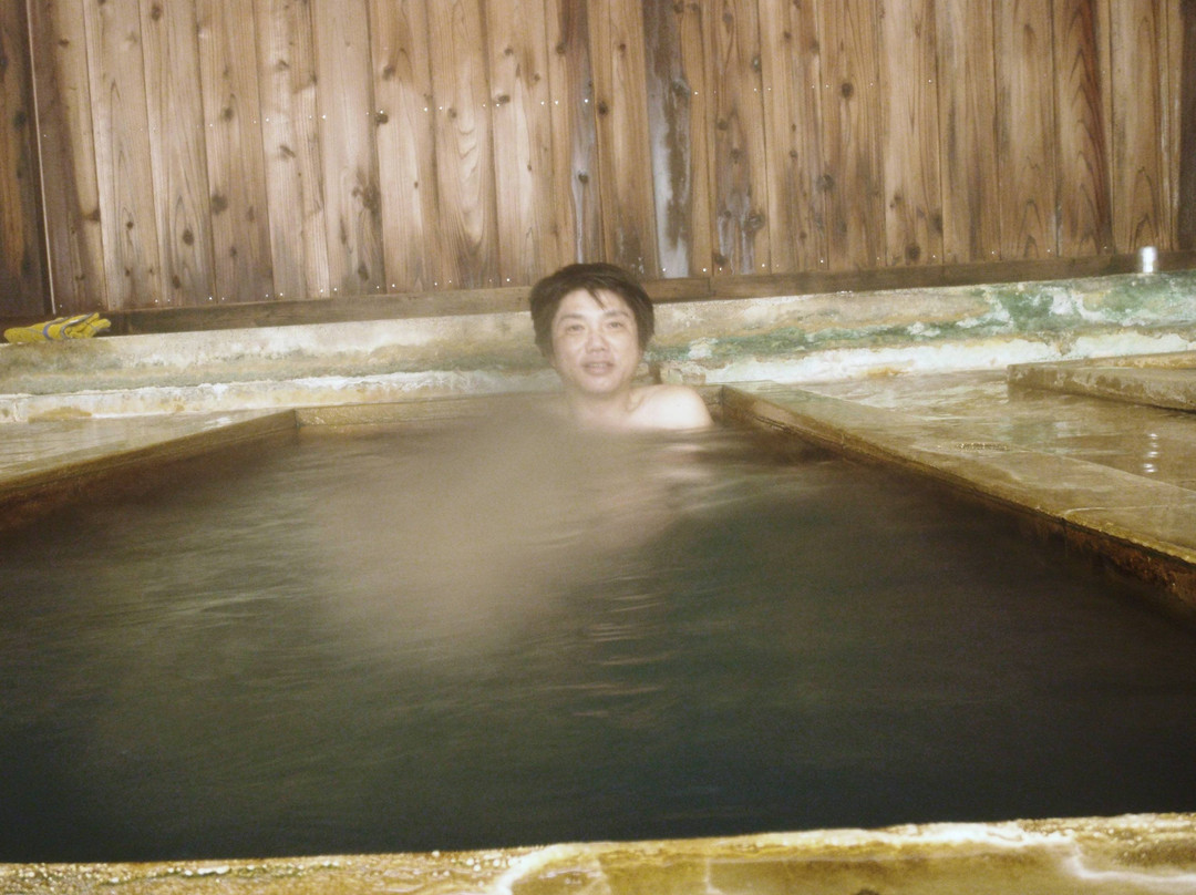 Oizawa Onsen Ryokan主图