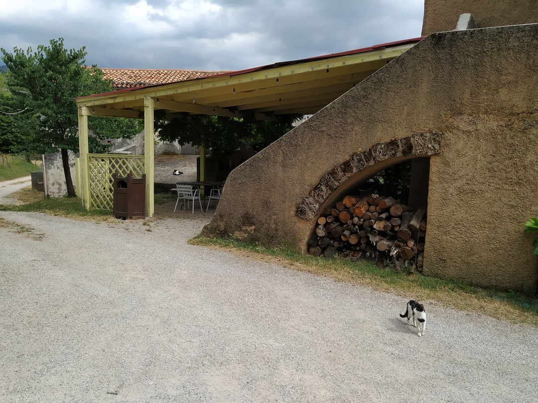 Agriturismo Colloreto主图