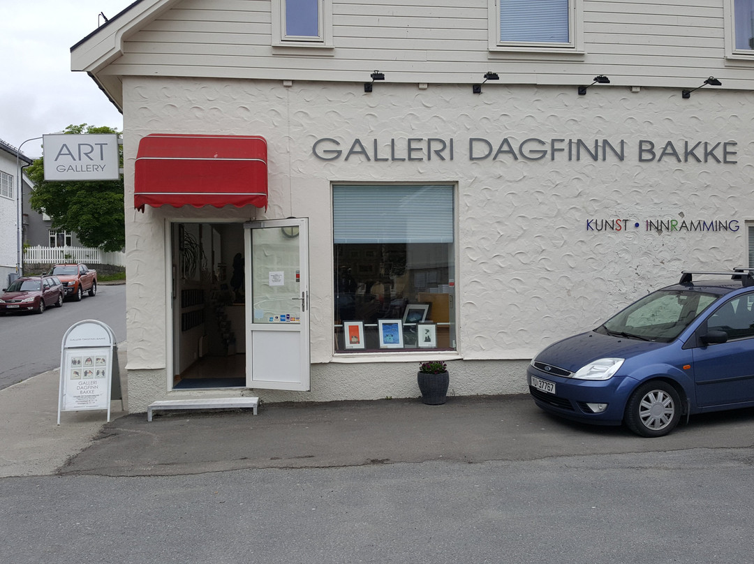 Gallery Dagfinn Bakke-斯沃尔韦尔必去景点