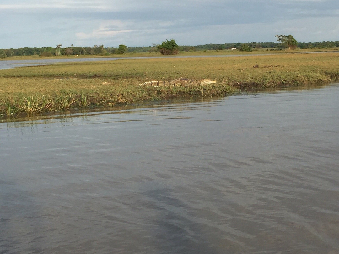 Bom Jesus Farm-Soure必去景点