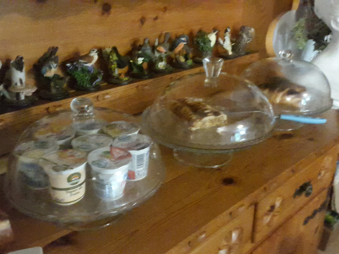 Baita Evelina bed & breakfast主图